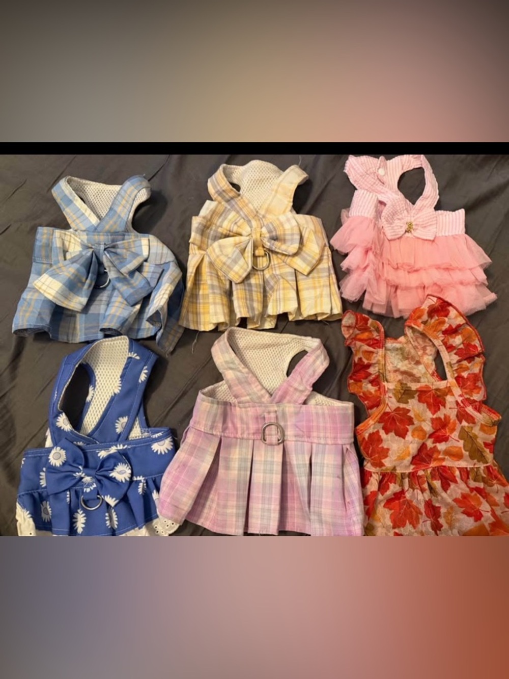 Assorted Dogs' Dresses/Harnesses - Picture 2 of 6